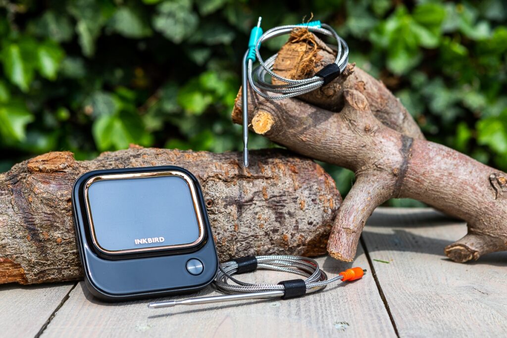 Inkbird IBT-26S with probes