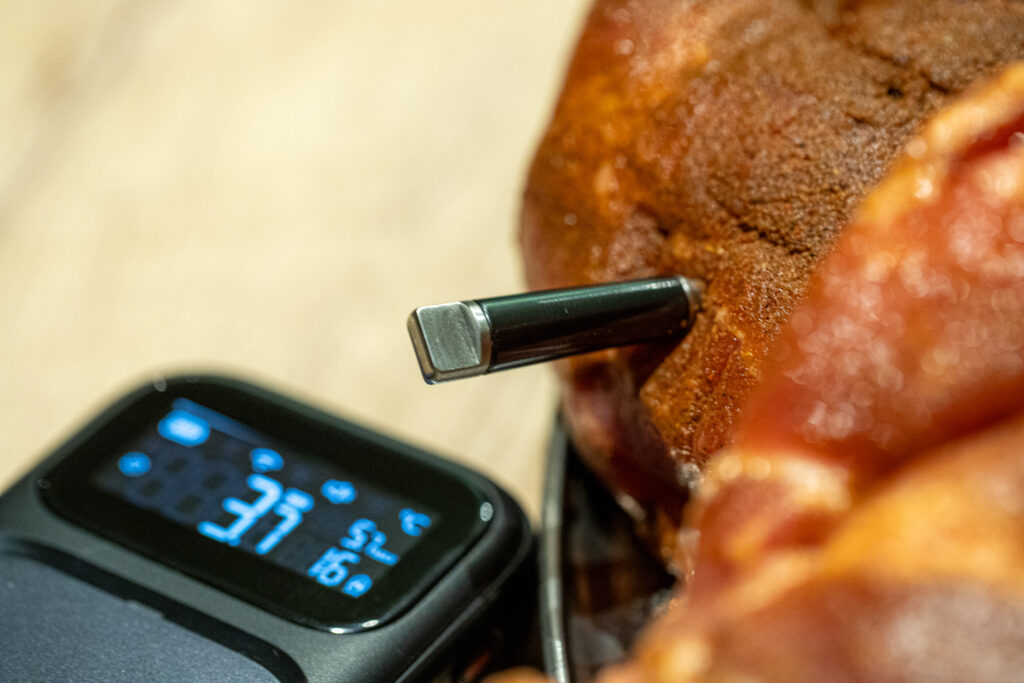 wireless Probe in vlees met base unit