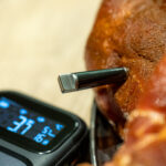 wireless Probe in vlees met base unit