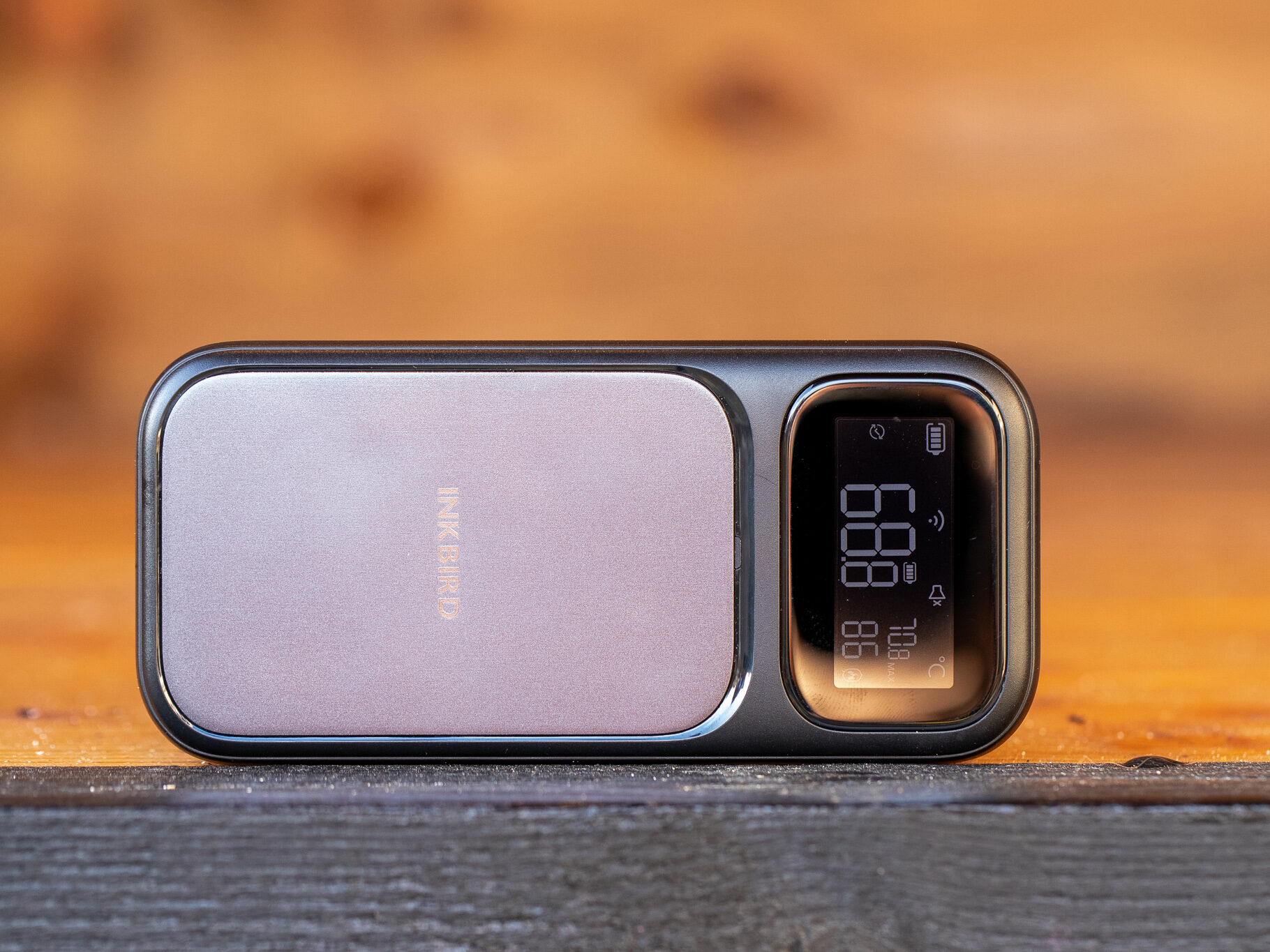 INT-31BW product shot